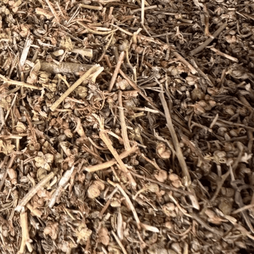 Fijel Feuilles de Rue (Ruta Graveolens) 50g / 100g / 200g – Herbe Naturelle - nilabeautys.com