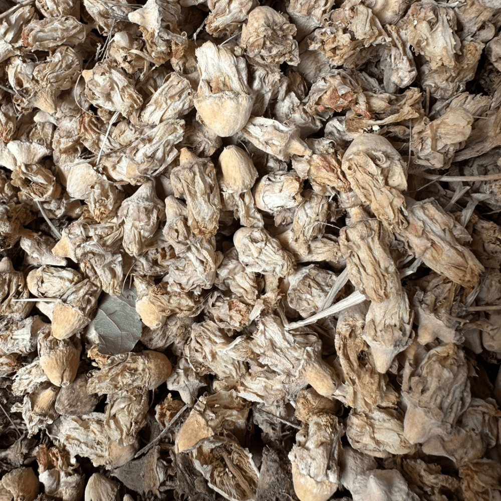 Fleur de Figuier de Barbarie Séchée 50g / 100g / 200g – Produit Naturel Maroc - nilabeautys.com