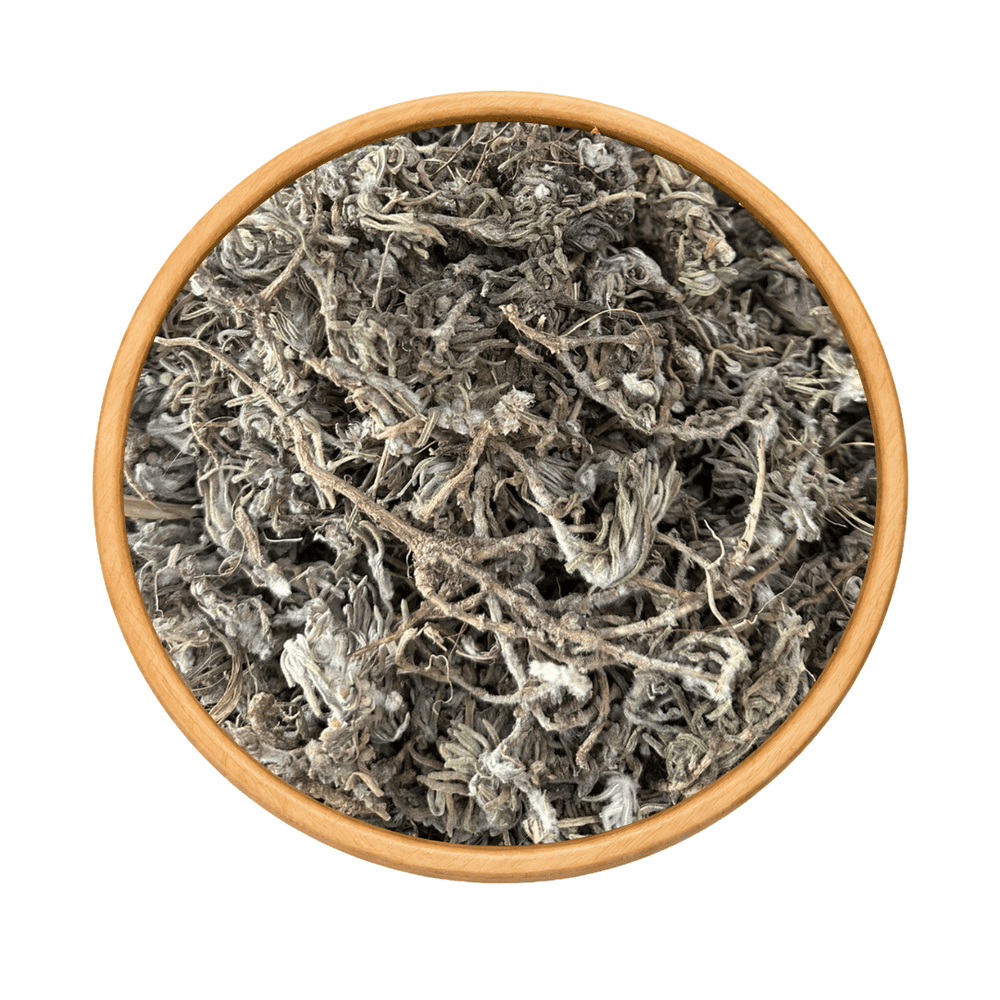 Germandrée Chenkdoura 50g / 100g / 200g – Herbe Sauvage Naturelle - nilabeautys.com