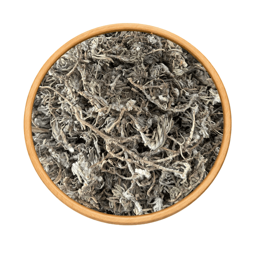 Germandrée Chenkdoura 50g / 100g / 200g – Herbe Sauvage Naturelle - nilabeautys.com