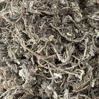 Germandrée Chenkdoura 50g / 100g / 200g – Herbe Sauvage Naturelle - nilabeautys.com