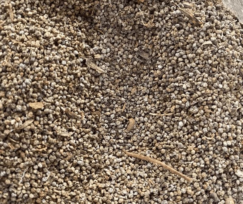 Ghalba - Galba - Sar el gula - Qezbur - nilabeautys.com