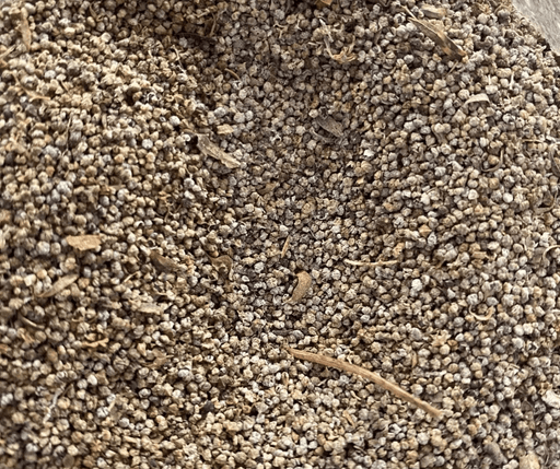 Ghalba - Galba - Sar el gula - Qezbur - nilabeautys.com