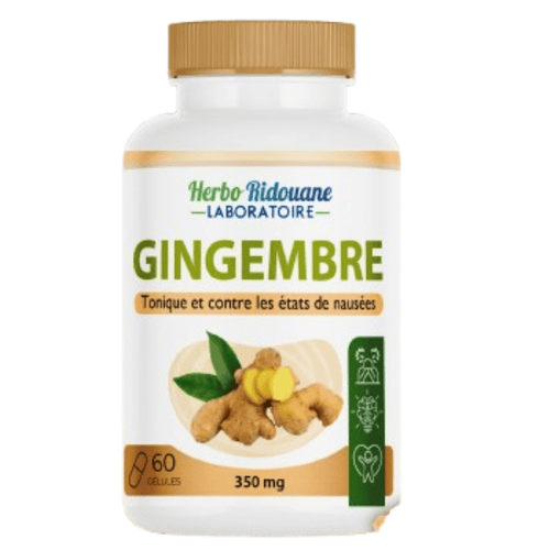 Gingembre Capsule Tonic – Digestion & Vitalité - nilabeautys.com