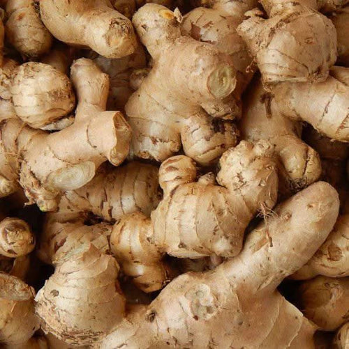Gingembre Frais Naturel