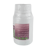 Ginkgo Biloba 60 Gélules | Mémoire & Circulation - nilabeautys.com