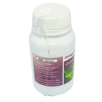 Complement Ginkgo Biloba 60 Gélules