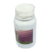 Complement Ginkgo Biloba 60 Gélules