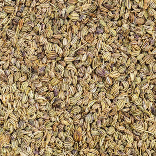 Ammi Visnaga-Samen | Khella-Samen 50g | 100g | 200g | Natürliche Lösung für Asthma, Bluthochdruck und mehr