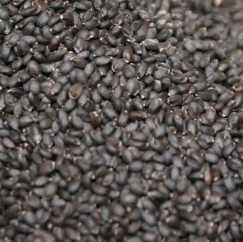 Basilikumsamen 50g | 100g | 200g | Die natürliche Essenz der Haarschönheit