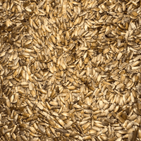 Graines de Chardon (Chouk Jmal) – شوك الجمل | Plante Sauvage Naturelle - nilabeautys.com