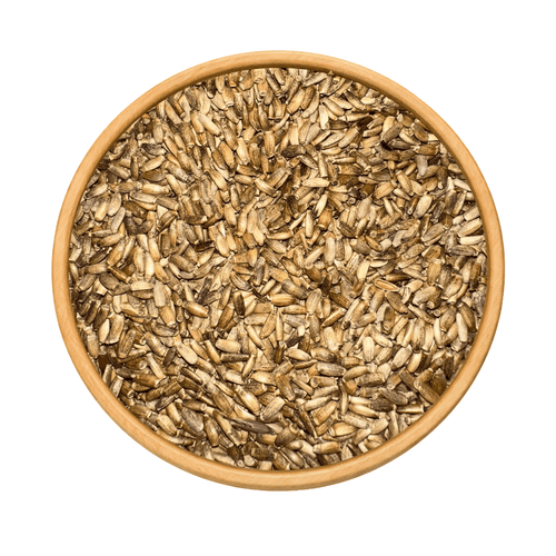 Graines de Chardon (Chouk Jmal) – شوك الجمل | Plante Sauvage Naturelle - nilabeautys.com