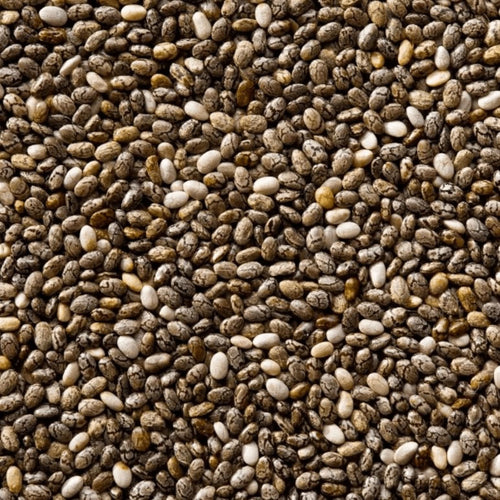 Chiasamen 50g | 100g | 200g | Die natürliche Kraft der Ernährung steckt in jedem Samen.