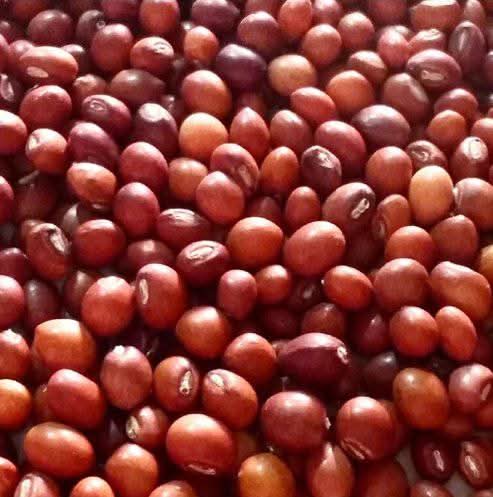 Blumenkohlsamen 50g | 100g | 200g | Ein Naturschatz für Ihr Wohlbefinden.