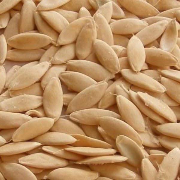 Graines de Concombre 50g | 100g | 200g | La fraîcheur naturelle à portée de main