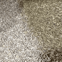Graines de Fenouil Beldi Nafâa 50g / 100g / 200g / 1000g – Épice Naturelle - nilabeautys.com