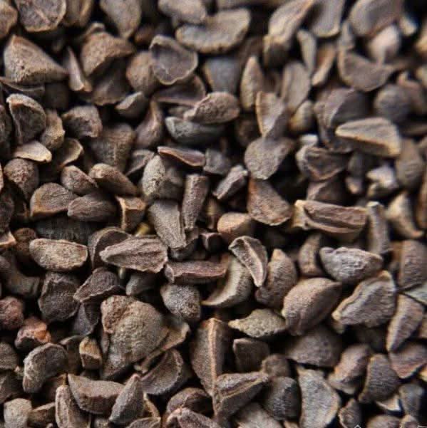 Graines de Harmel 50g 100g 200g | Peganum Harmala

