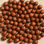 Graines de Jujubier BIO (Sidr Ziziphus) – 1kg - nilabeautys.com