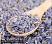 Graines de Lavande – Soins et Infusions Relaxants