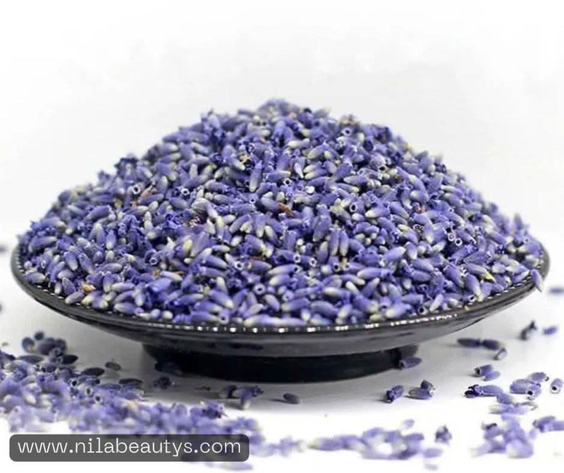 Graines de Lavande – Soins et Infusions Relaxants