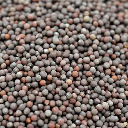 Senfkörner 50g | 100g | 200g | Natürliches Heilmittel gegen Erkältungen, Gelenkschmerzen und Flüssigkeitsansammlungen