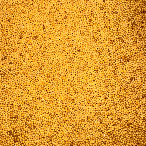 Graines de Moutarde Jaune – Douces & Aromatiques - nilabeautys.com