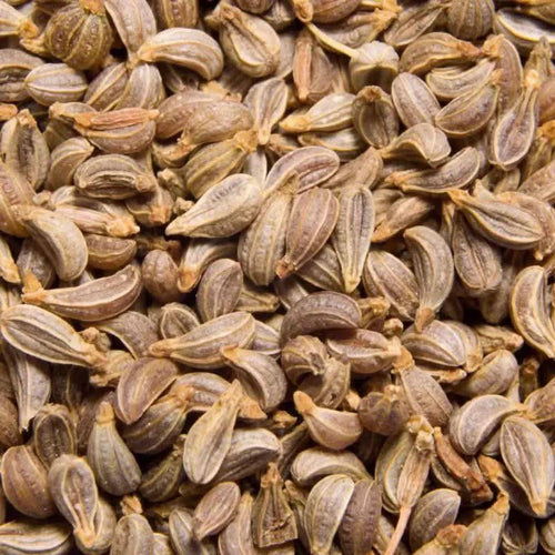 Petersiliensamen 50g | 100g | 200g | 100 % natürlich