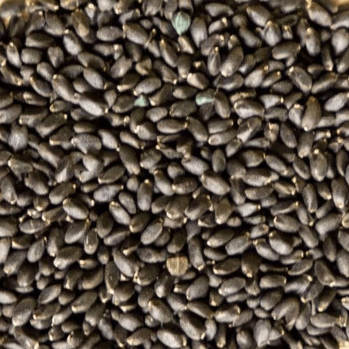 Portulaksamen | Al Rajla 50g | 100g | 200g | Für ausgeglichene Gesundheit und gestärkte Vitalität