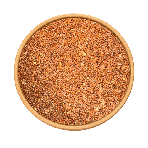 Graines de Radis – Naturelles pour Culture & Microgreens - nilabeautys.com