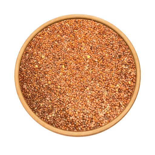 Graines de Radis – Naturelles pour Culture & Microgreens - nilabeautys.com