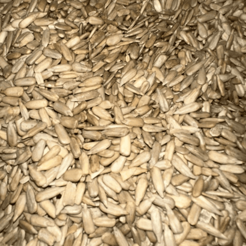 Graines de Tournesol Naturelles – Croquantes & Savoureuses - nilabeautys.com