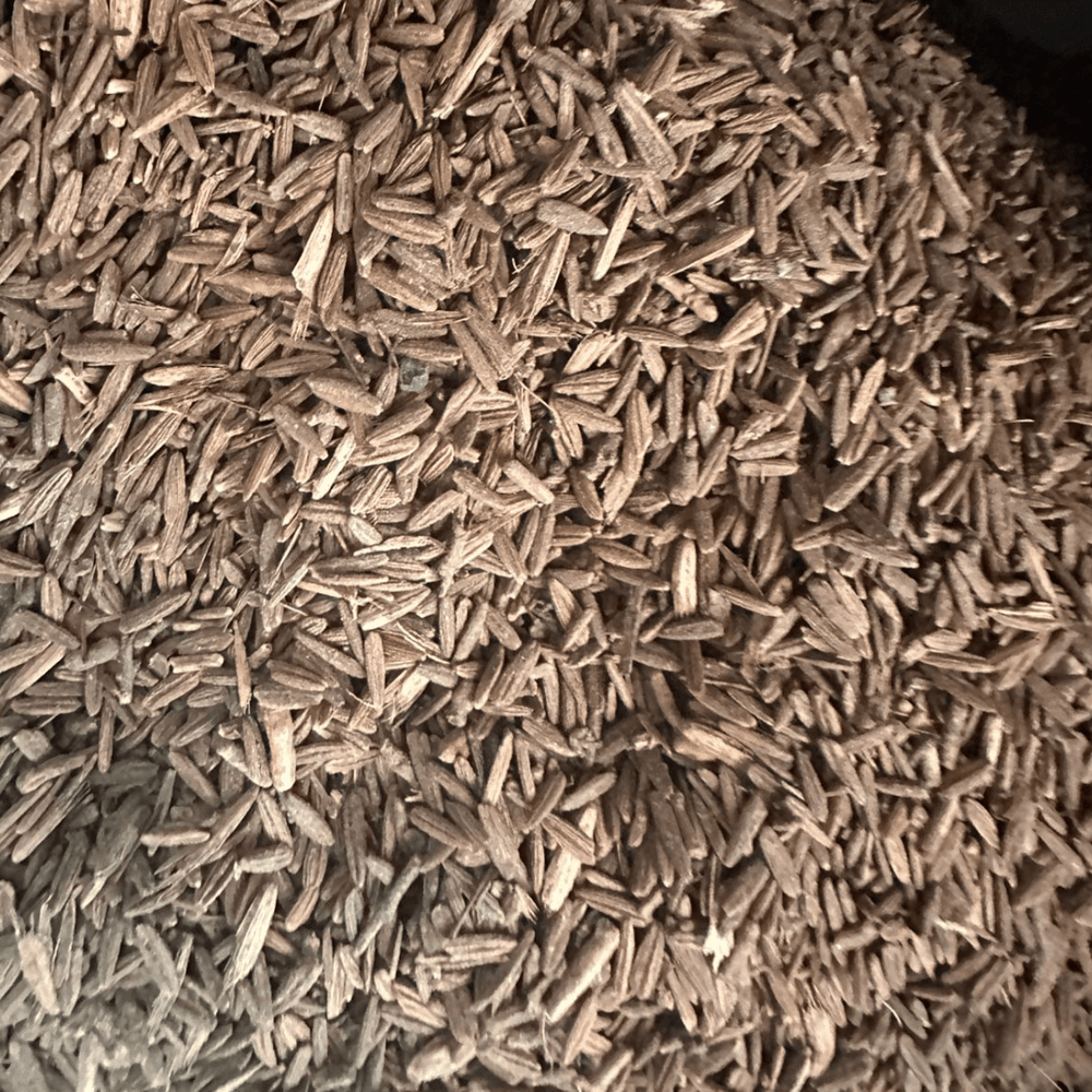Graines Lssan Tir – Langue d’Oiseau Naturelle - nilabeautys.com