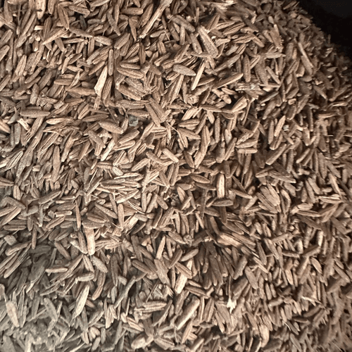 Graines Lssan Tir – Langue d’Oiseau Naturelle - nilabeautys.com