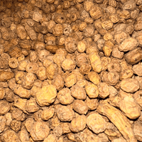 Hab El Aziz (Souchet) – حب العزيز Naturel & Croquant - nilabeautys.com