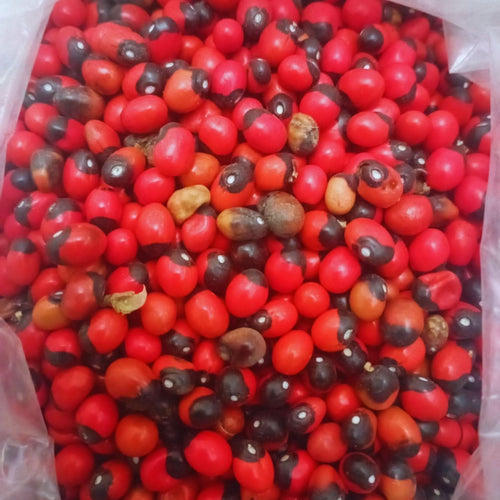 Habat Al Achk – L'Herbe aux Mille Vertus Naturelles