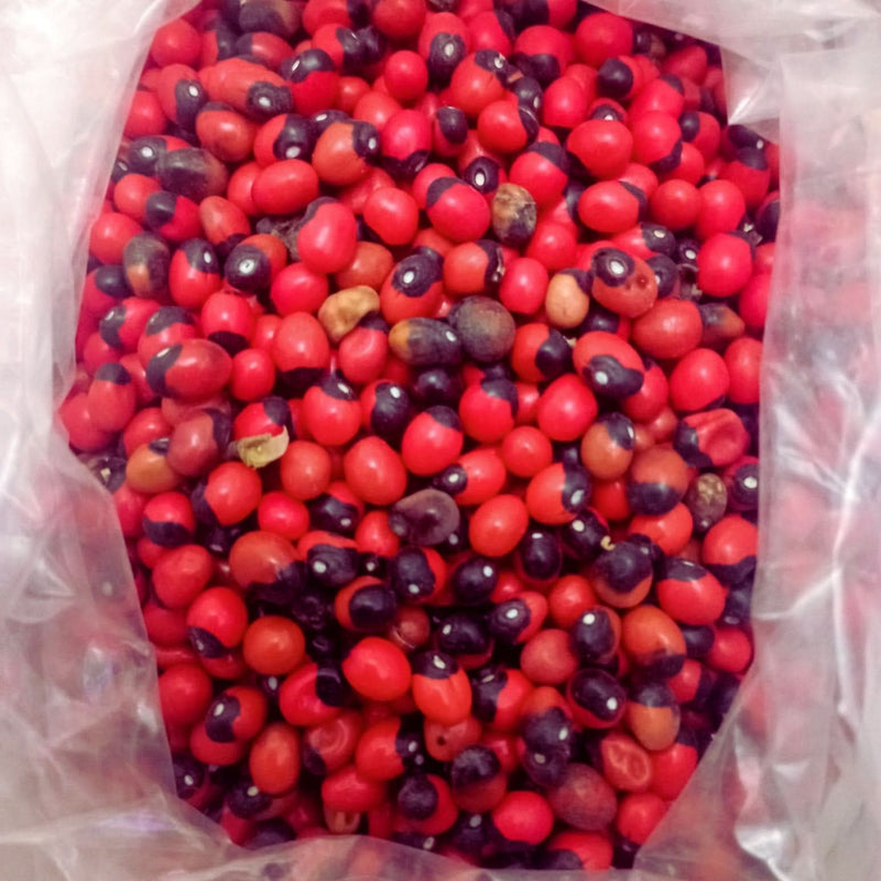 Habat Al Achk – L'Herbe aux Mille Vertus Naturelles