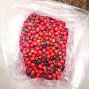 Habat Al Achk – L'Herbe aux Mille Vertus Naturelles