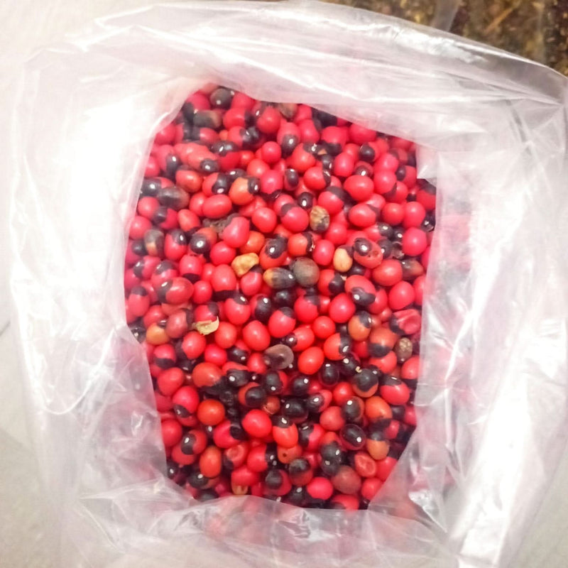 Habat Al Achk – L'Herbe aux Mille Vertus Naturelles