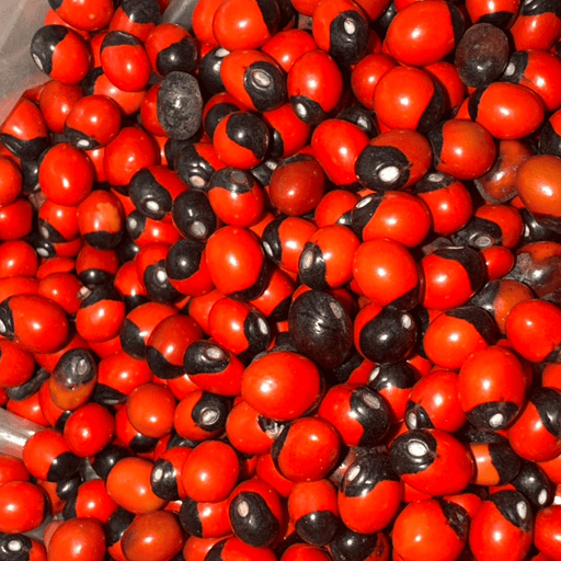 Habat El Achek – Graine Traditionnelle Symbolique - nilabeautys.com