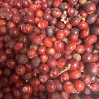 Heb El Ghar – Grains de Laurier Noble (Laurus Nobilis) - nilabeautys.com