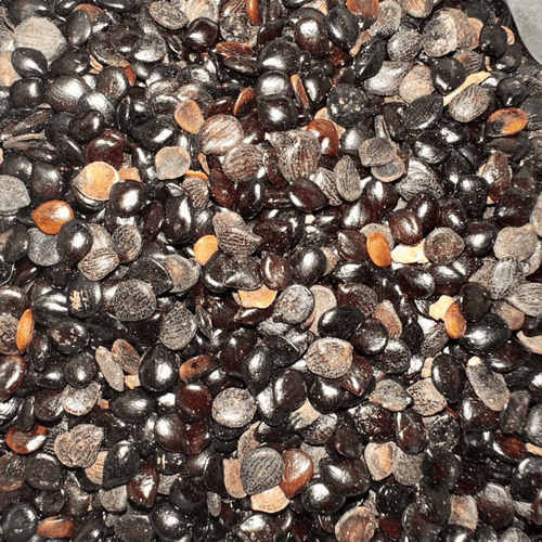 Heba Sawda (Nigelle) – Graines Noires Naturelles الحبة السوداء - nilabeautys.com