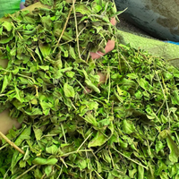 Henné Feuille Naturel 100% Pur – Soin Cheveux & Coloration Naturelle - nilabeautys.com