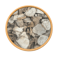 Herbe Barzotm – Plante Naturelle Traditionnelle - nilabeautys.com