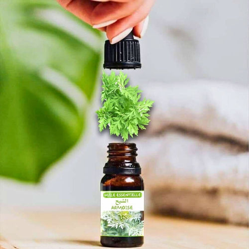 Huile Essentielle d'Armoise 10 ml