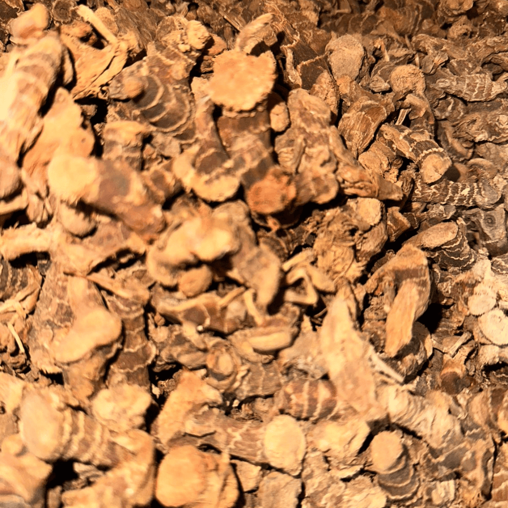 Khoudanjal (Galanga) – Racine Aromatique Naturelle - nilabeautys.com