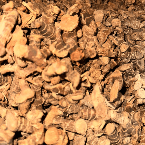 Khoudanjal (Galanga) – Racine Aromatique Naturelle - nilabeautys.com