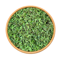 Lavande Khzama 50g / 100g / 200g – Plante Naturelle Relaxante - nilabeautys.com