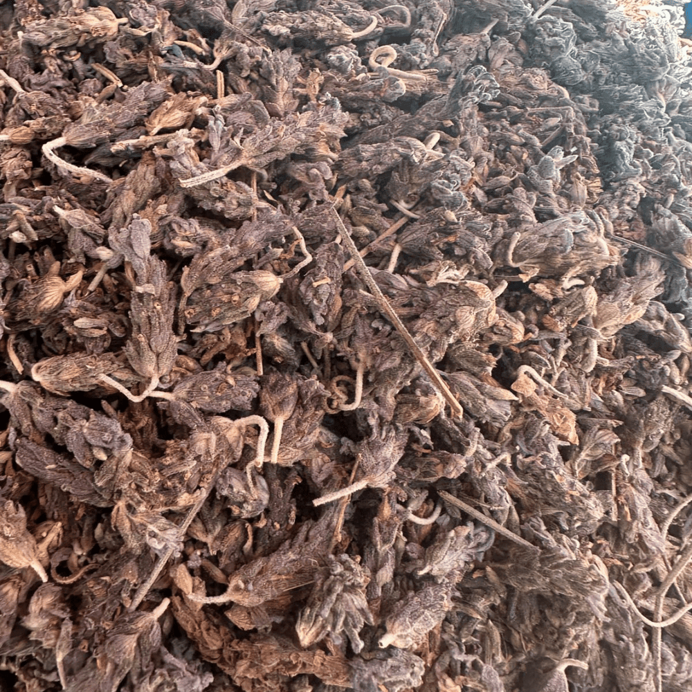 Lavande Khzama Rouge – Fleur Séchée Naturelle - nilabeautys.com