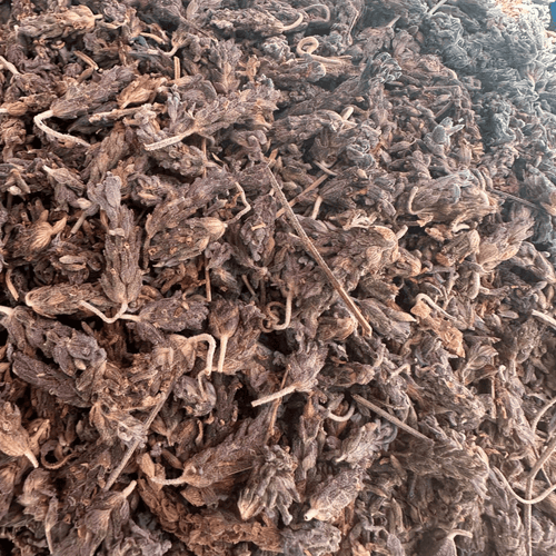 Lavande Khzama Rouge – Fleur Séchée Naturelle - nilabeautys.com