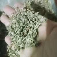 Menthe Sauvage - Tisane Calament Digestive et Rafraîchissante